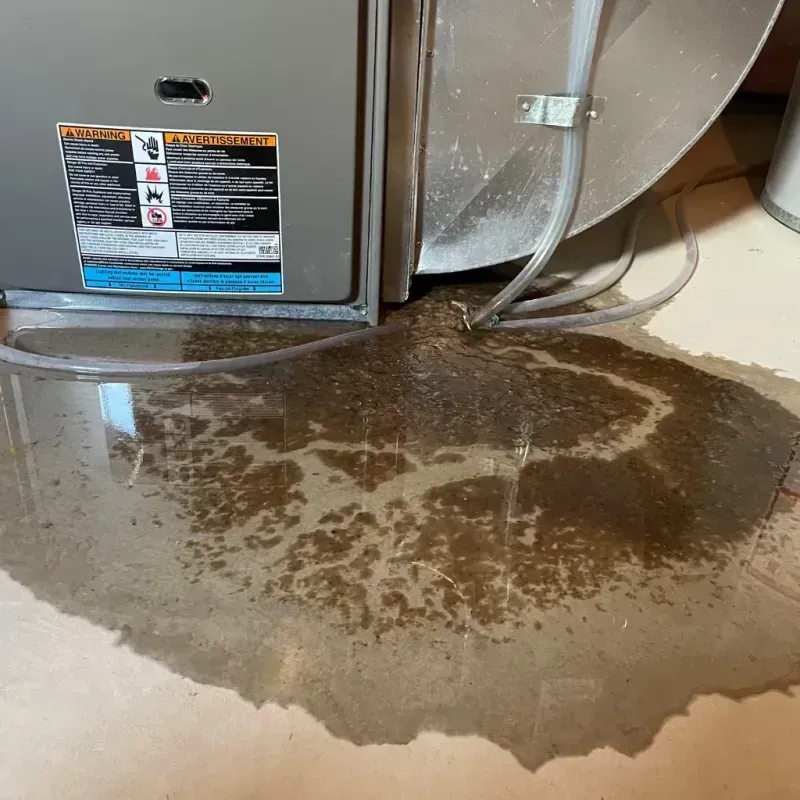 Appliance Leak Cleanup in Pannill Fork, VA